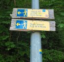 Entrée en forêt
